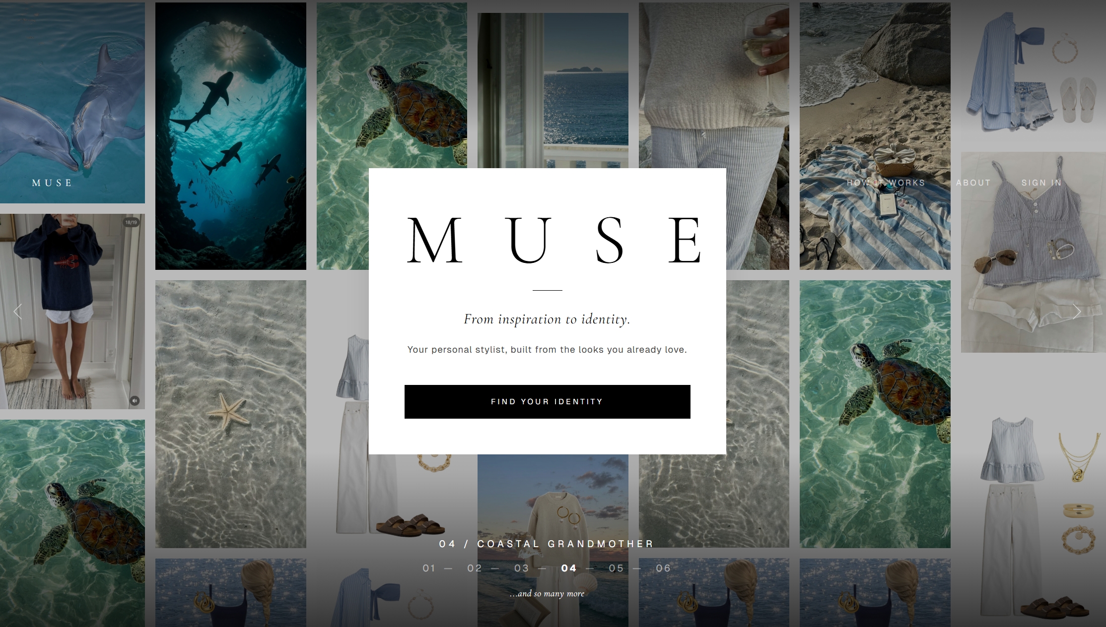 muse
